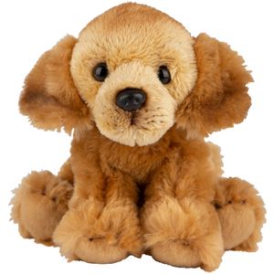 Pluche knuffel dieren Golden Retriever hond 13 cm