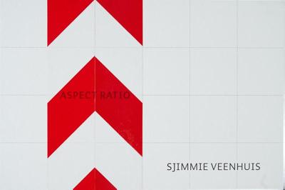 Aspect Ratio (Hardback)