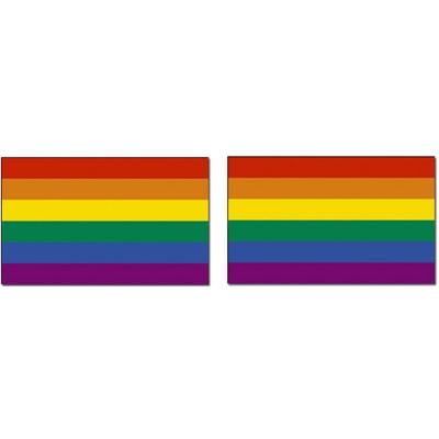 Regenboog kleuren vlag - 2x - 90 x 150 cm - polyester - met ringen