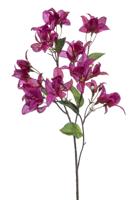 Bougainvillea spray fuchsia 68 cm - Emerald