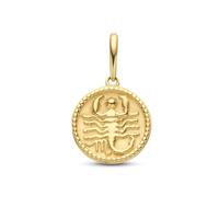 Minimalistische sterrenbeeld bedel - 14K GOUD - Scorpio - schorpioen - Goud
