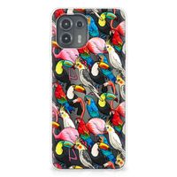 Motorola Edge 20 Lite TPU Hoesje Birds - thumbnail