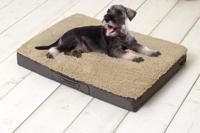 Sun Garden Buddy Orthopedisch Hondenkussen 140x100x10cm Beige/Donkerbuin - thumbnail