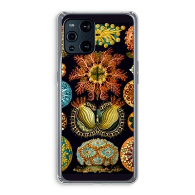 Haeckel Ascidiae: Oppo Find X3 Transparant Hoesje
