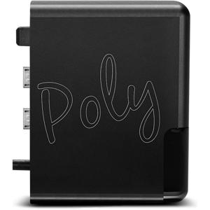 Chord Electronics Poly draagbare streamer/player voor Mojo 2