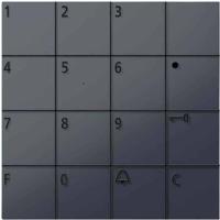 Siedle 210004914-00 Functiemodule voor Accessoires voor deurintercom Antraciet