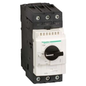 GV3L65  - Motor protection circuit-breaker 65A GV3L65