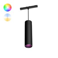 Philips Hue Perifo - White and color uitbreiding hanglamp zwart - 929003115901