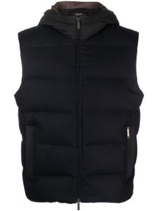 Peserico gilet matelassé à capuche - Bleu