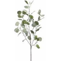 Emerald Kunstbloem Eucalyptus tak - 87 cm - groen   -