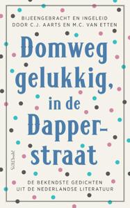 Domweg gelukkig, in de Dapperstraat (Hardback)