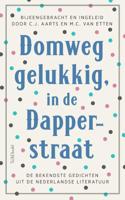 Domweg gelukkig, in de Dapperstraat (Hardback)