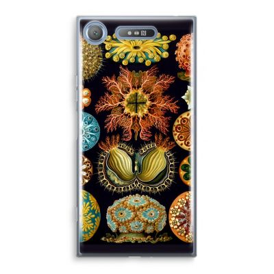 Haeckel Ascidiae: Sony Xperia XZ1 Transparant Hoesje