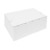 Postpakketbox iezzy 4 305x215x110mm wit | 5 stuks
