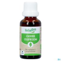 Herbalgem Olijfboom Bio 30ml