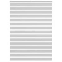 VidaXL Zebra rolgordijn 165x230 cm stofbreedte 160,9 cm lichtgrijs