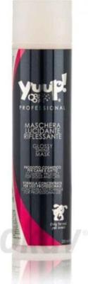Glossy shine mask - 250 ml