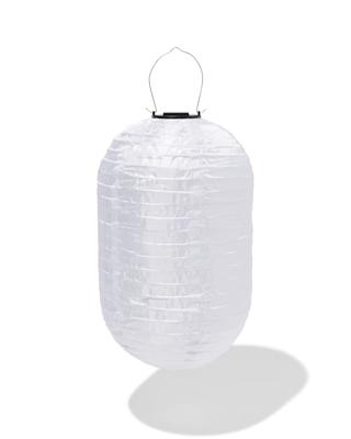 HEMA Solar Tuinlampion Langwerpig (wit)