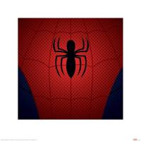 Kunstdruk Ultimate Spider-Man Torso 40x40cm