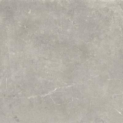 Vloertegel Concept Grey gepolijst 120x120 rett