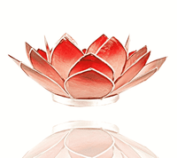 Lotus Sfeerlicht Roze-Rood Zilverrand - thumbnail
