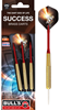 Bull's Success Steel Dart - 20g