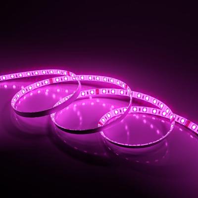 Liora Smart LED Strip 5m - Wifi & Bluetooth - RGB - Met afstandsbediening - IP44 voor binnen en buiten - SMD 5050 - 60 LEDs/m