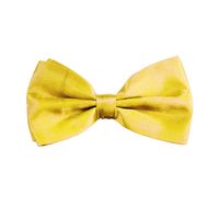 Carnaval verkleed vlinderstrikje zijdeglans - geel - polyester - heren/dames   -