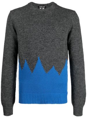 Comme des Garçons Homme Deux pull en maille fine à design bicolore - Vert