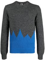 Comme des Garçons Homme Deux pull en maille fine à design bicolore - Vert
