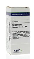 Gelsemium sempervirens LM6 - thumbnail