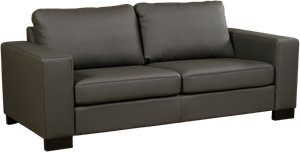 Donkergrijze leren moderne 2.5-zitsbank Enjoy - poot hout zwart - Toledo Leer Antracite (donkergrijs leer)