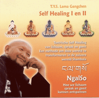 Cd Self Healing I en II T.Y.S. Lama Gangchen - thumbnail