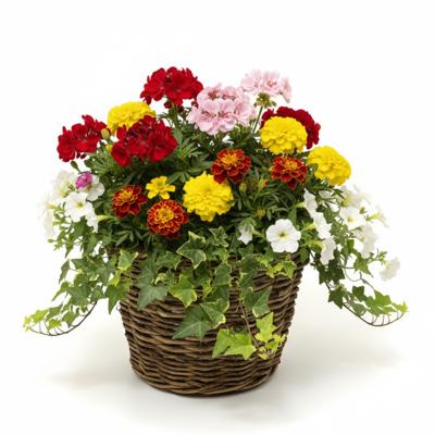 VD Leeden Plantenmand Twijg - rond - bruin - 42 x 32 cm - rotan - gevlochten riet - bloemenmand