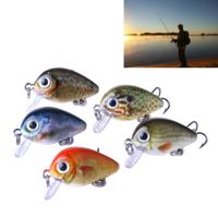 5 stuks 2.7cm/1.5g Luya Rock Fishing Lures aas Bionic Kit met Plastic doos