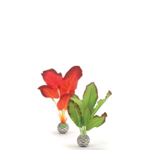 biOrb zijden plantenset groen/rood - klein