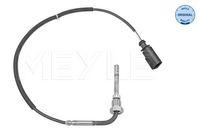 Sensor, uitlaatgastemperatuur 1148000239