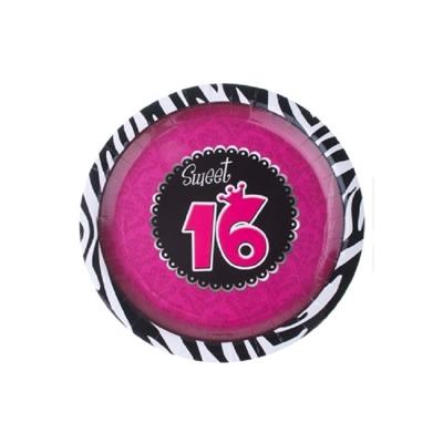Sweet 16 feest thema party bordjes - 24x stuks - dia 23 cm - Karton - verjaardag