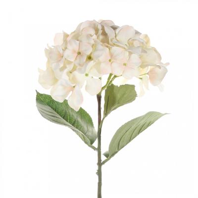 Single hydrangea 68 cm cream - Driesprong collection