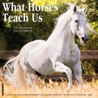 What Horses Teach Us Kalender 2026