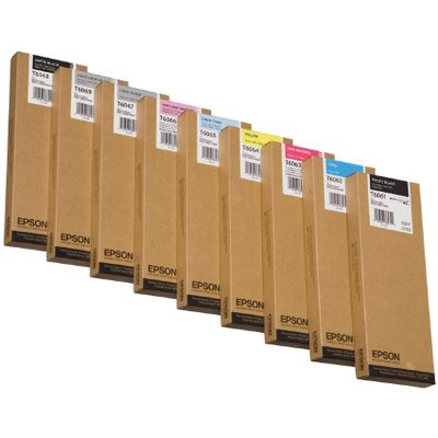 EPSON T6067 inktcartridge licht zwart standard capacity 220ml 1-pack