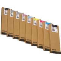 EPSON T6067 inktcartridge licht zwart standard capacity 220ml 1-pack