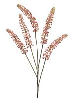 Phytolacca roze 93cm