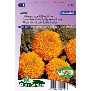 Tagetes Erecta zaden Hawaii afrikaantje