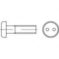 TOOLCRAFT TO-5379945 Veiligheidsschroeven M4 6 mm Tweegats 88111 RVS A2 100 stuk(s) - thumbnail