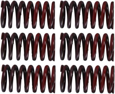 TRW Clutch spring kit mef317-6
