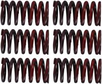 TRW Clutch spring kit mef317-6