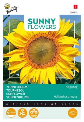 Sunny flowers king kong - Buzzy