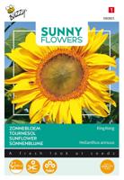 Sunny flowers king kong - Buzzy