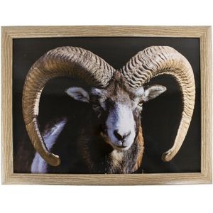 Schootkussen/laptray ram/schaap print 33 x 43 cm   -